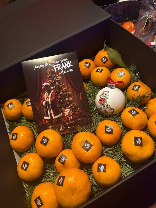 Новогодние ёлочные шары - 15